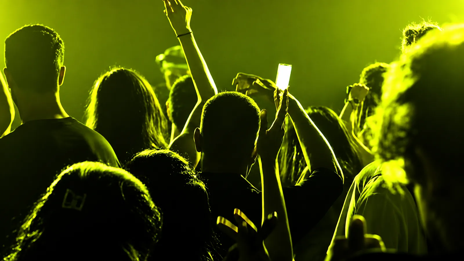 Amigos en un concierto